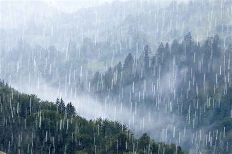 下大雨圖片|超过 70000 张关于“大雨”和“雨”的免费图片